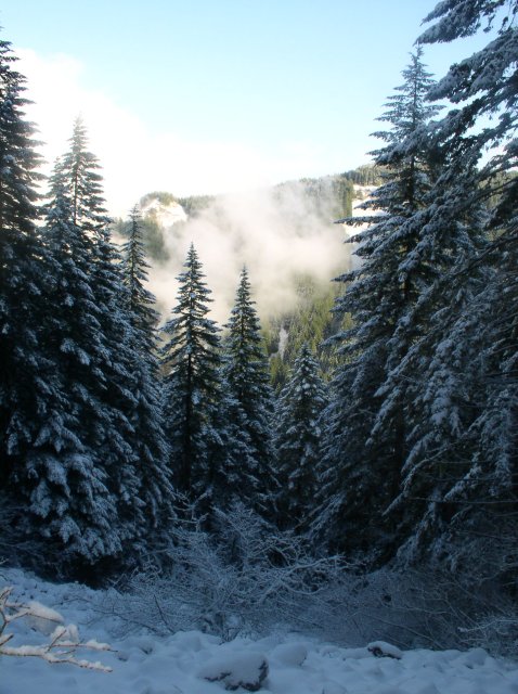 11.27.05 Nesmith Point 067 